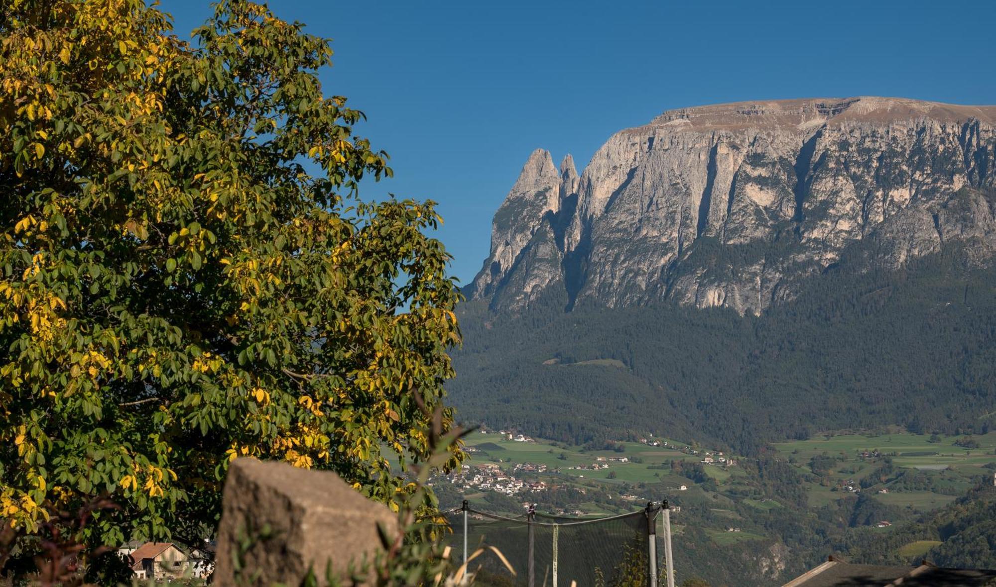 شقة Gestuet Feuerstein- Lanznasterhof Prato all'Isarco المظهر الخارجي الصورة